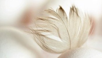 Maya wijsheid Paaswebinar